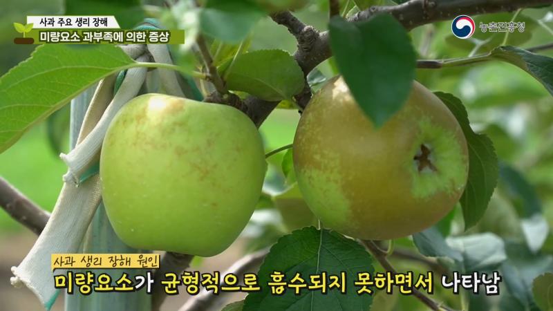 미량요소 과부족에 의한 증상