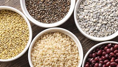 당뇨고혈압 예방 최적 잡곡 혼합 비율 제시