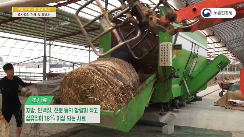 1_조사료의 이해 및 필요성