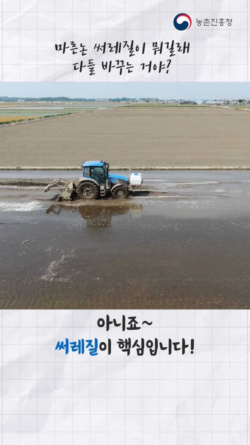 마른논 써레질 재배 기술에 따른 작업 체계 및 수량 변화 쇼츠 B