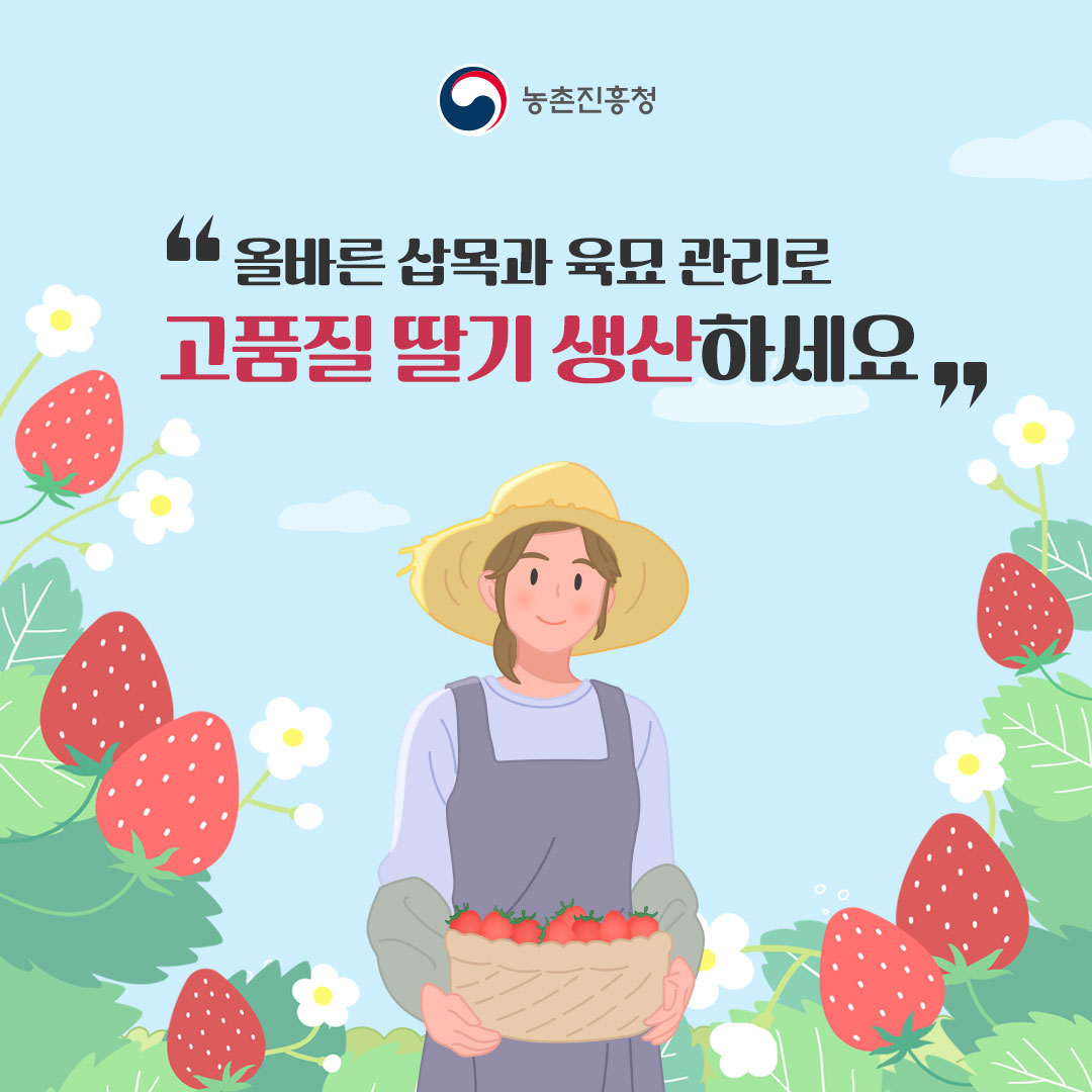 농촌진흥청 '올바른 삽목과 육묘관리로 고품질 딸기 생산하세요'