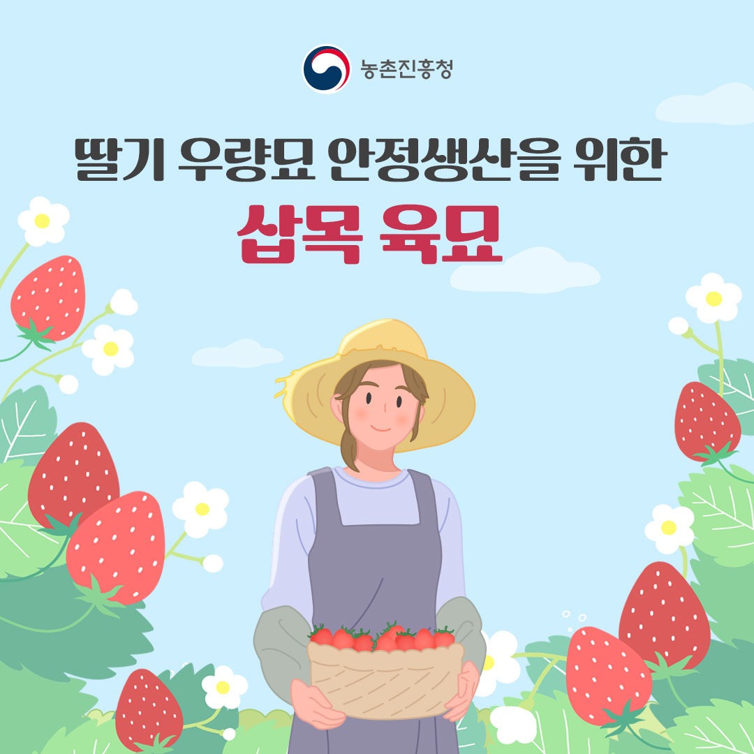 농촌진흥청 딸기 우량묘 안정생산을 위한 삽목 육묘
