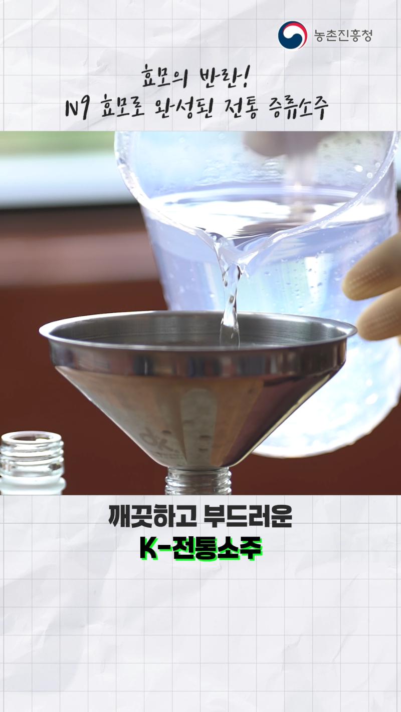 효모 생쌀발효기술을 활용 고품질 증류즈 제조과정_쇼츠 B