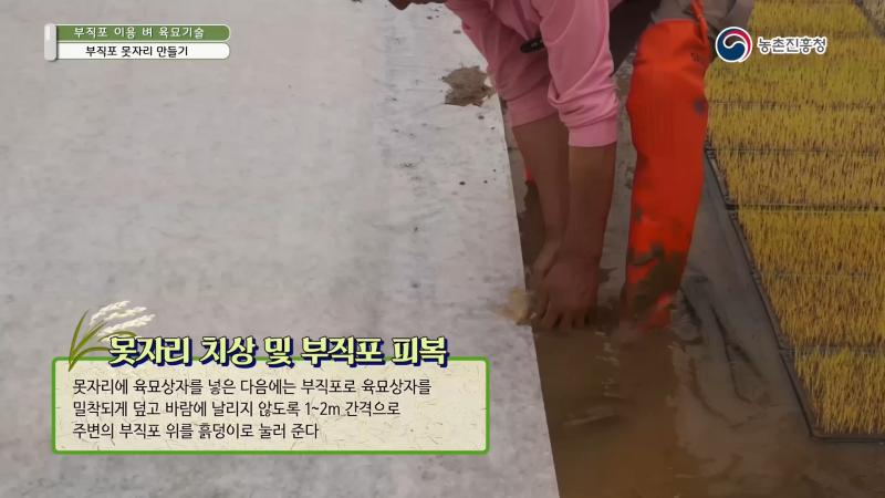 4. 못자리 치상 및 부직포 피복