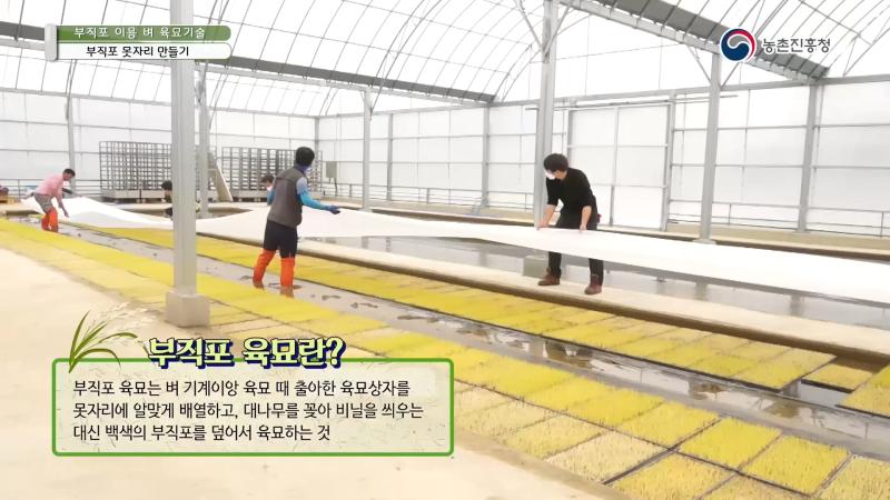 2. 부직포 육묘란