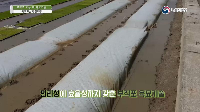 1.벼 육묘기술 변천과정 