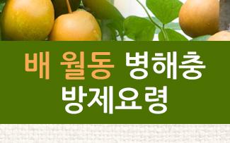 배 월동 병해충 방제요령