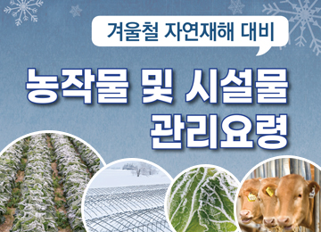 겨울철 자연재해 대비 농작물 및 시설물 관리요령