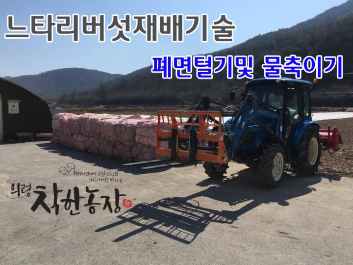 가족과 함께 하는 느타리버섯 재배 시작 합니다.