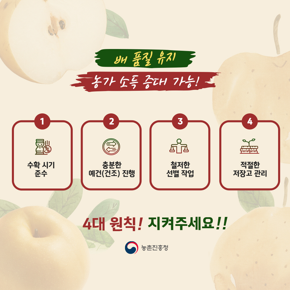 배품질유지 농가 소득증대가능