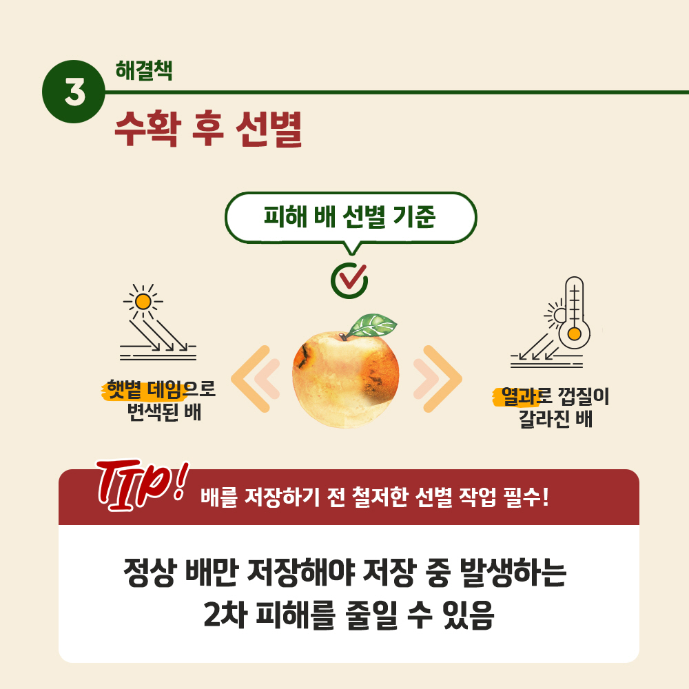 수확후선별