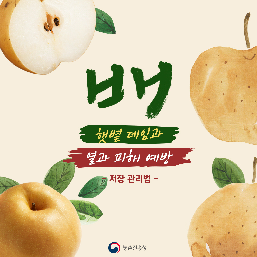 혓볕 데임과 열과 피해 예방 저장관리법 표지