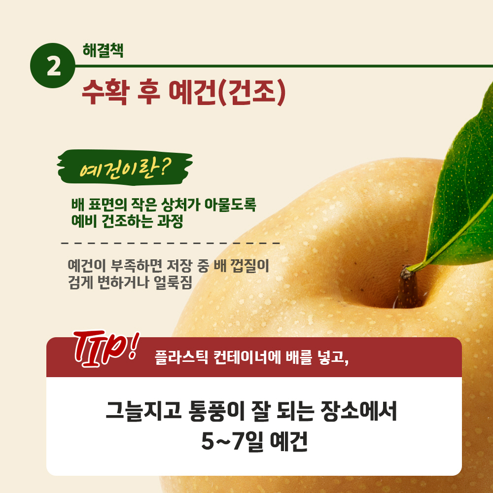 수확후 예건