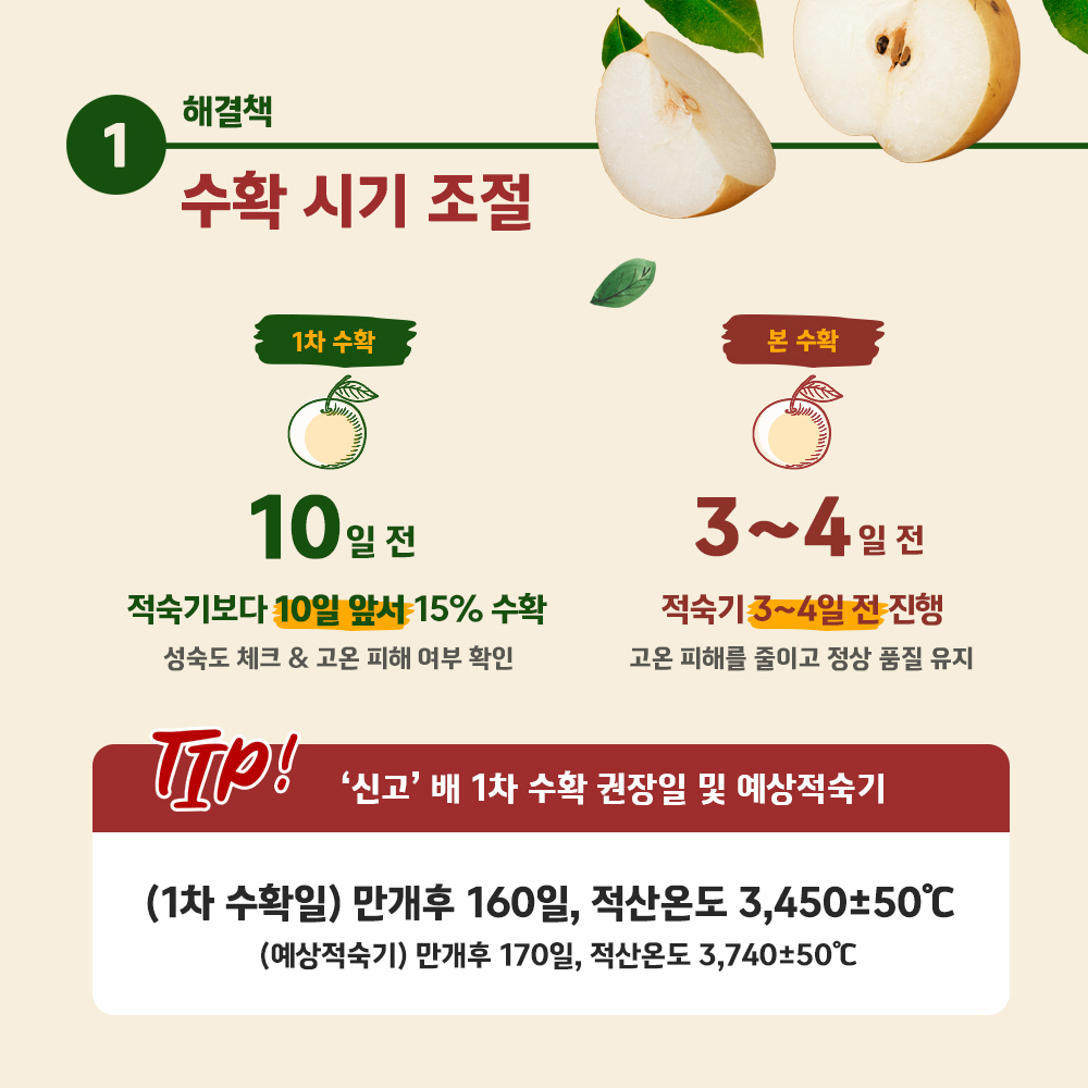수확시기조절