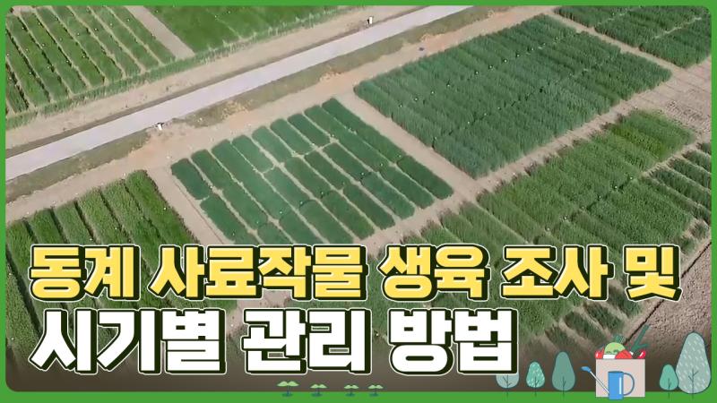 동계 사료작물 생육 조사 및 시기별 관리 방법