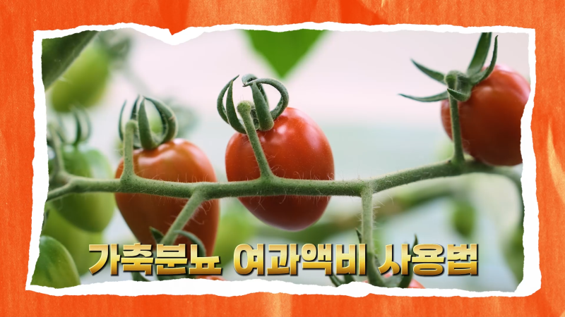황금 비료, 가축분뇨 여과액비 사용법