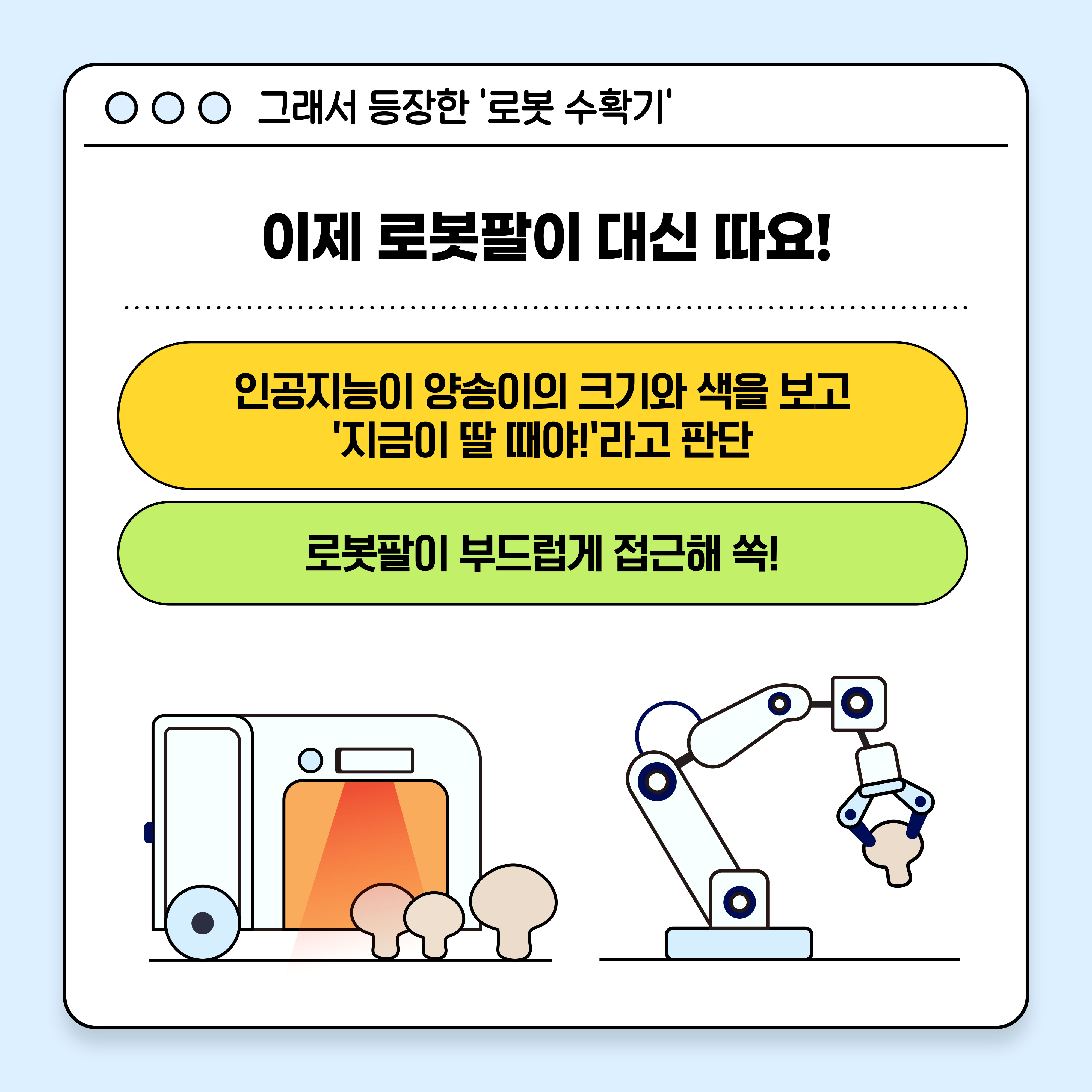 그래서 등장한 '로봇 수확기' 이제 로봇팔이 대신 따요!  인공지능이 양송이의 크기와 색을 보고 '지금이 딸 때야!' 라고 판단, 로봇팔이 부드럽게 접근해 쏙!