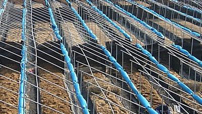 겨울철 인삼밭 안전 관리 요령