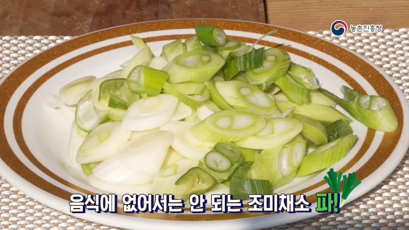 1. 파의 종류