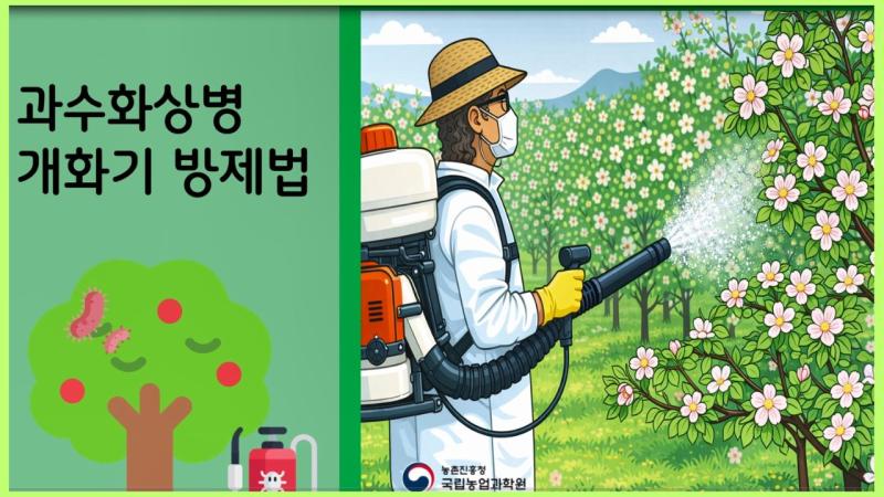 과수화상병 개화기 방제법