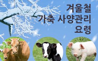 겨울철 가축 사양관리 요령