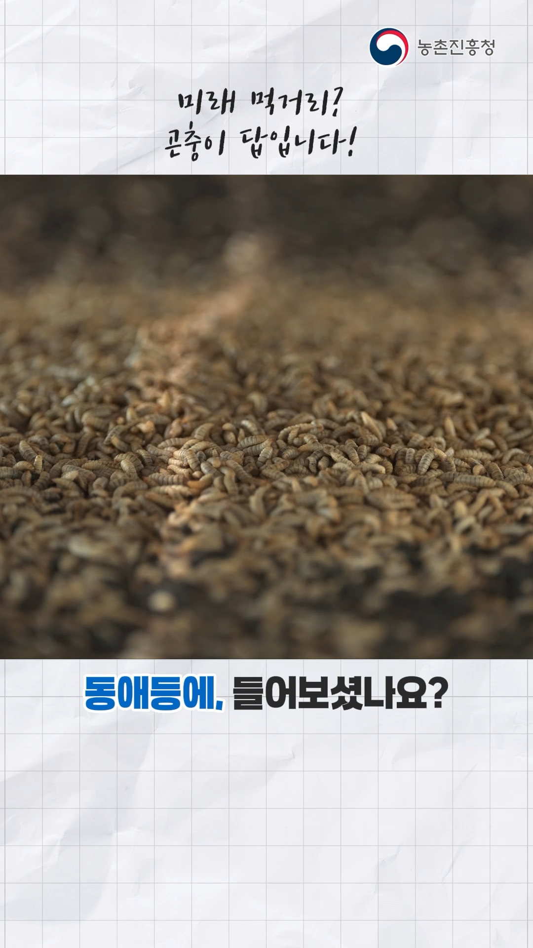 사료곤충 대량 사육기술_쇼츠 B