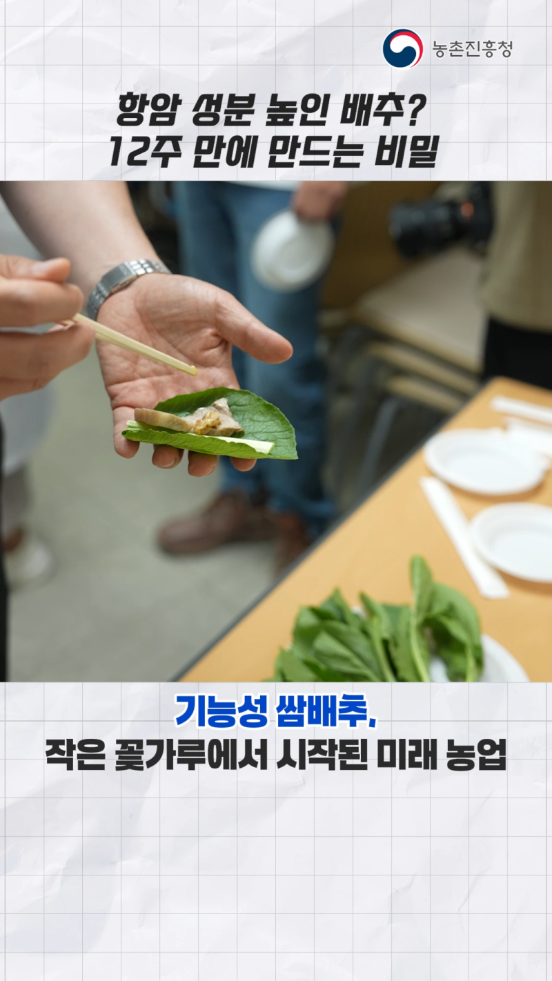 기능성 쌈배추 안정 생산을 위한 육종 기술