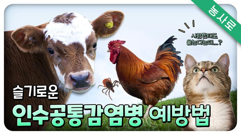 농업인의 인수공통감염병 예방하세요 썸네일 이미지