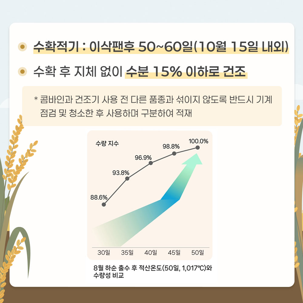 -수확적기 : 이삭팬후 50~60일(10월 15일 내외) -수확 후 지체 없이 수분 15% 이하로 건조 *콤바인과 건조기 사용 전 다른 품종과 섞이지 않도록 반드시 기계 점검 및 청소한 후 사용하며 구분하여 적재