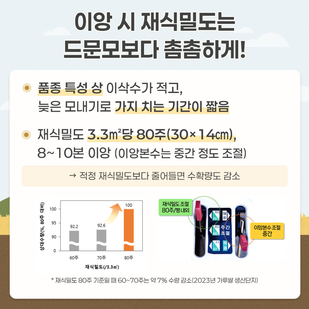 이앙시 재식밀도는 드문모보다 촘촘하게! -품종특성 상 이삭수가 적고, 늦은 모내기로 가지 치는 기간이 짧음 -재식밀도 3.3㎡당 80주(30x14㎝), 8~10본 이앙(이앙본수는 중간 정도 조절)  → 적정 재식밀도보다 줄어들면 수확량도 감소