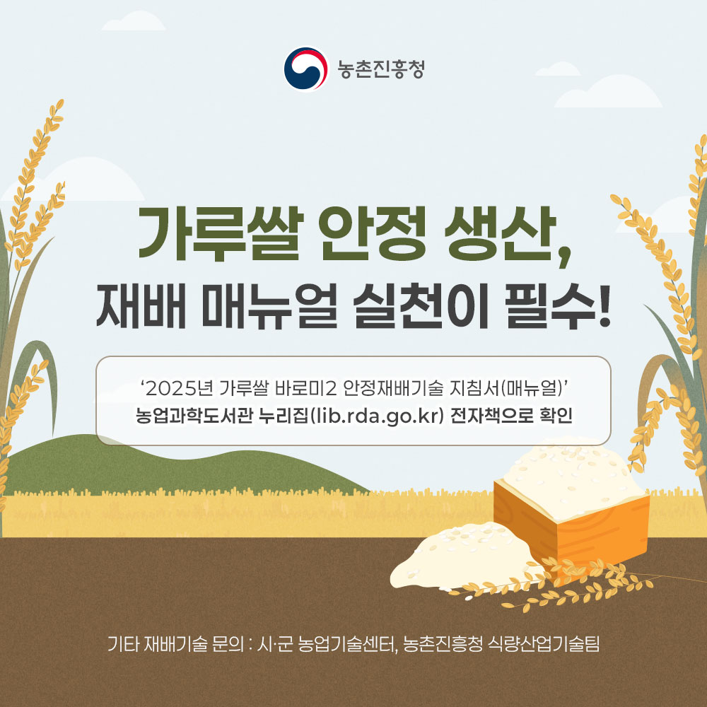 가루쌀 안정 생산, 재배 매뉴얼 실천이 필수! - '2025년 가루쌀 바로미2 안정재배기술 지침서(매뉴얼)' 농업과학도서관 누리집(lib.rda.go.kr) 전자책으로 확인