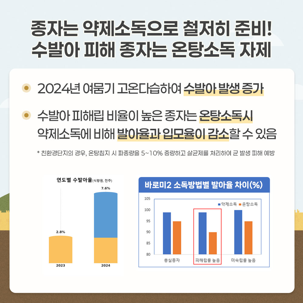 종자는 약제소독으로 철저히 준비! 수발아 피해 종자는 온탕소독 자제 -2024년 여뭄기 고온다습하여 수발아 발생 증가 -수발아 피해립 비율이 높은 종자는 온탕소독시 약제소독에 비해 발아율과 입모율이 감소할 수 있음 *친환경단지의 경우, 온탕침지 시 파종량을 5~10% 증량하고 살균제를 처리하여 균 발생 피해 예방