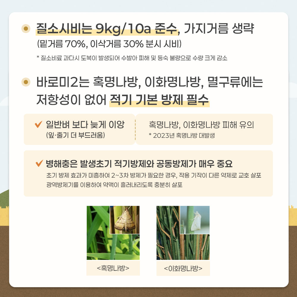 -질소시비는 9kg/10a 준수, 가지거름 생량 (밑거름 70%, 이삭거름 30% 분시 시비) *질소비료 과다시 도복이 발생되어 수발아 피해 및 등숙 불량으로 수량 크게 감소 -바로미2는 혹명나방, 이화명나방, 멸구류에는 저항성이 없어 적기 기본 방제 필수 *일반벼 보다 늦게 이양(잎.줄기 더 부드러움.  혹명나방, 이화명나방 피해 유의(2023년 혹명나방 대발생) *병해충은 발생초기 적기방제와 공동방제가 매우 중요  (초기 방제 효과가 미흡하여 2~3차 방제가 필요한 경우, 작용 기작이 다른 약제로 교호 살포 광역방제기를 이용하여 약액이 흘러내리도록 충분히 살포)