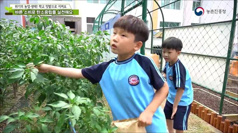 바른 소비로 탄소중립을 실천해요 썸네일 이미지