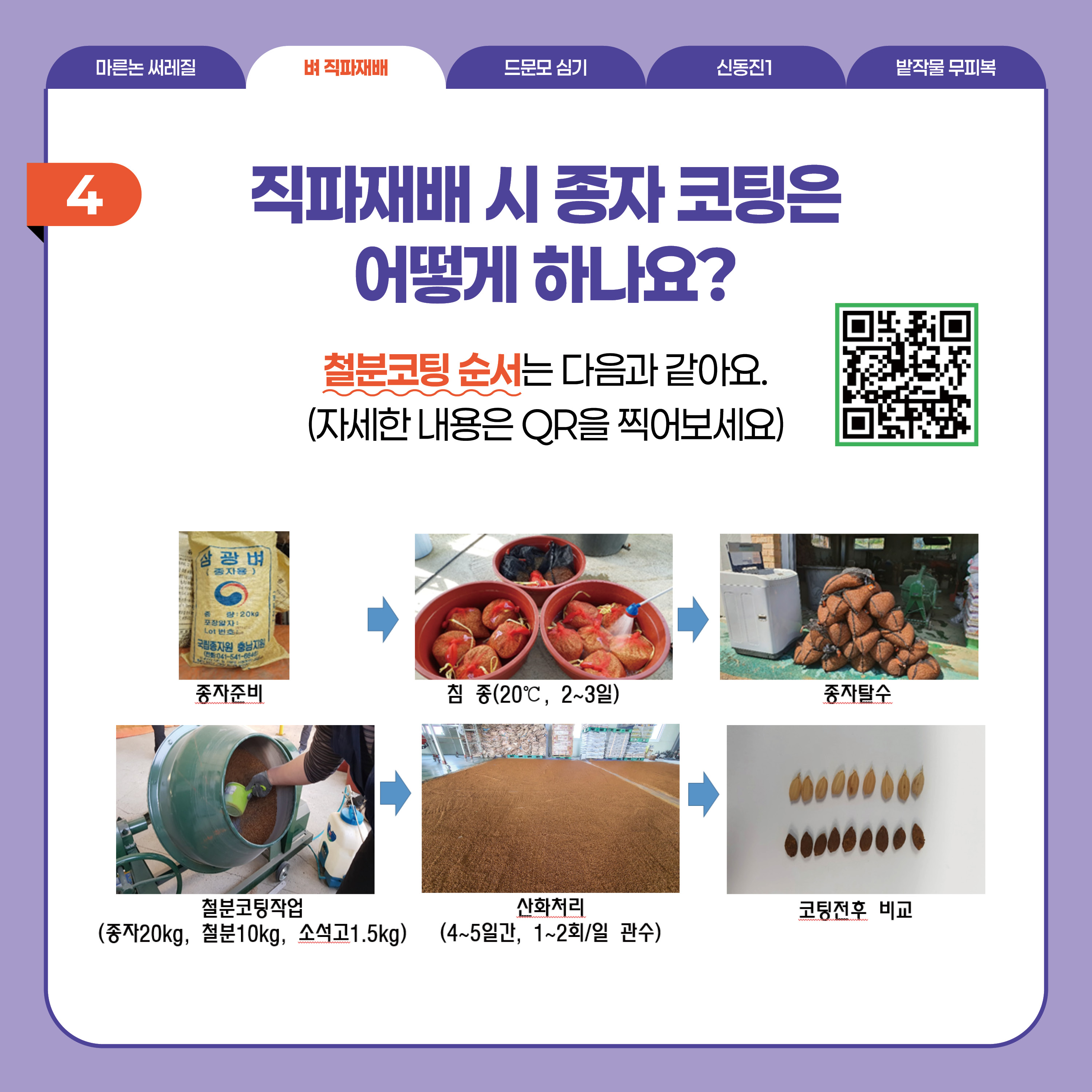 벼 직파재배  4 직파재배 시 종자 코팅은 어떻게 하나요?  철분코팅 순서는 다음과 같아요. (자세한 내용은 QR을 찍어보세요)  종자준비 오른쪽화살표 침 종(20℃, 2~3일) 오른쪽화살표 종자탈수 오른쪽화살표 철분코딩작업 (종자 20kg, 철분10kg, 소석고1.5kg) 오른쪽화살표 산화처리 (4~5일간, 1~2회/일 관수) 오른쪽화살표 코팅전후 비교