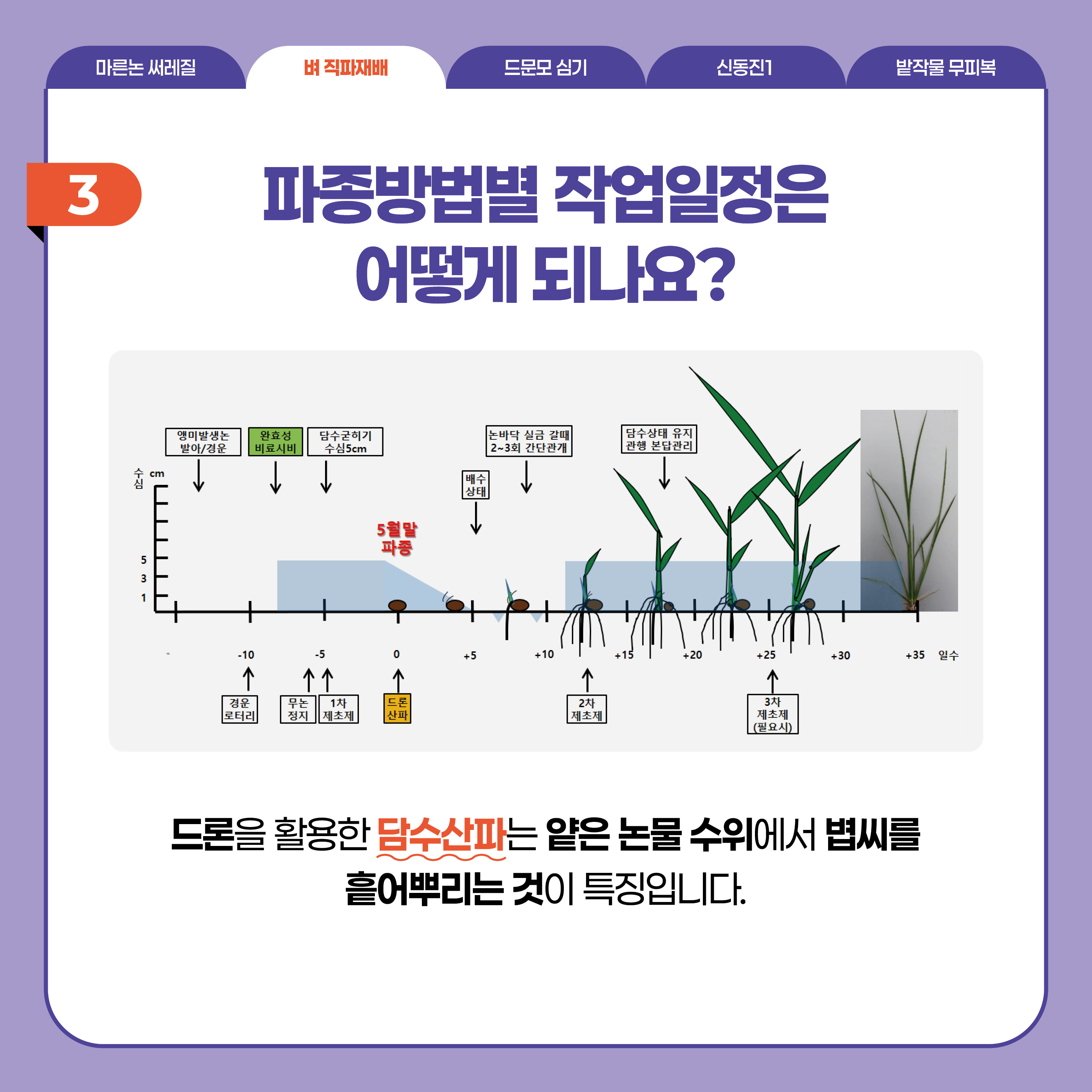 벼 직파재배  3 파종방법별 작업일정은 어떻게 되나요?  드론을 활용한 담수산파는 얕은 논물 수위에서 볍씨를 흩어뿌리는 것이 특징입니다.