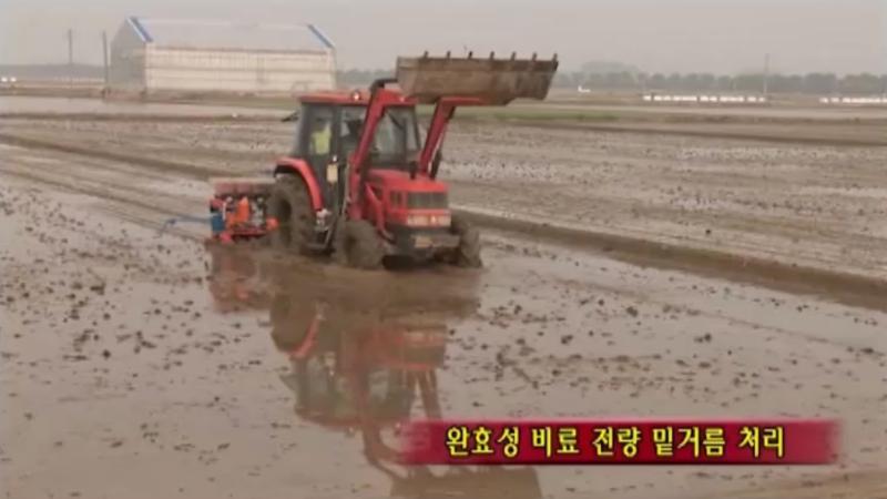 시비