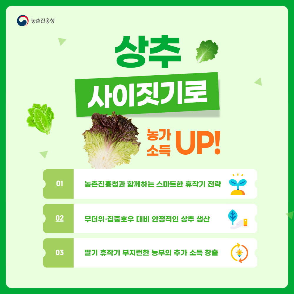 상추 사이짓기로 농가소득 UP! 1) 농촌진흥청과 함께하는 스마트한 휴작기 전략 2) 무더위. 집중호우 대비 안정적인 상추생산 3) 딸기 휴작기 부지런한 농부의 추가소득 창출
