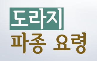 도라지 파종 요령