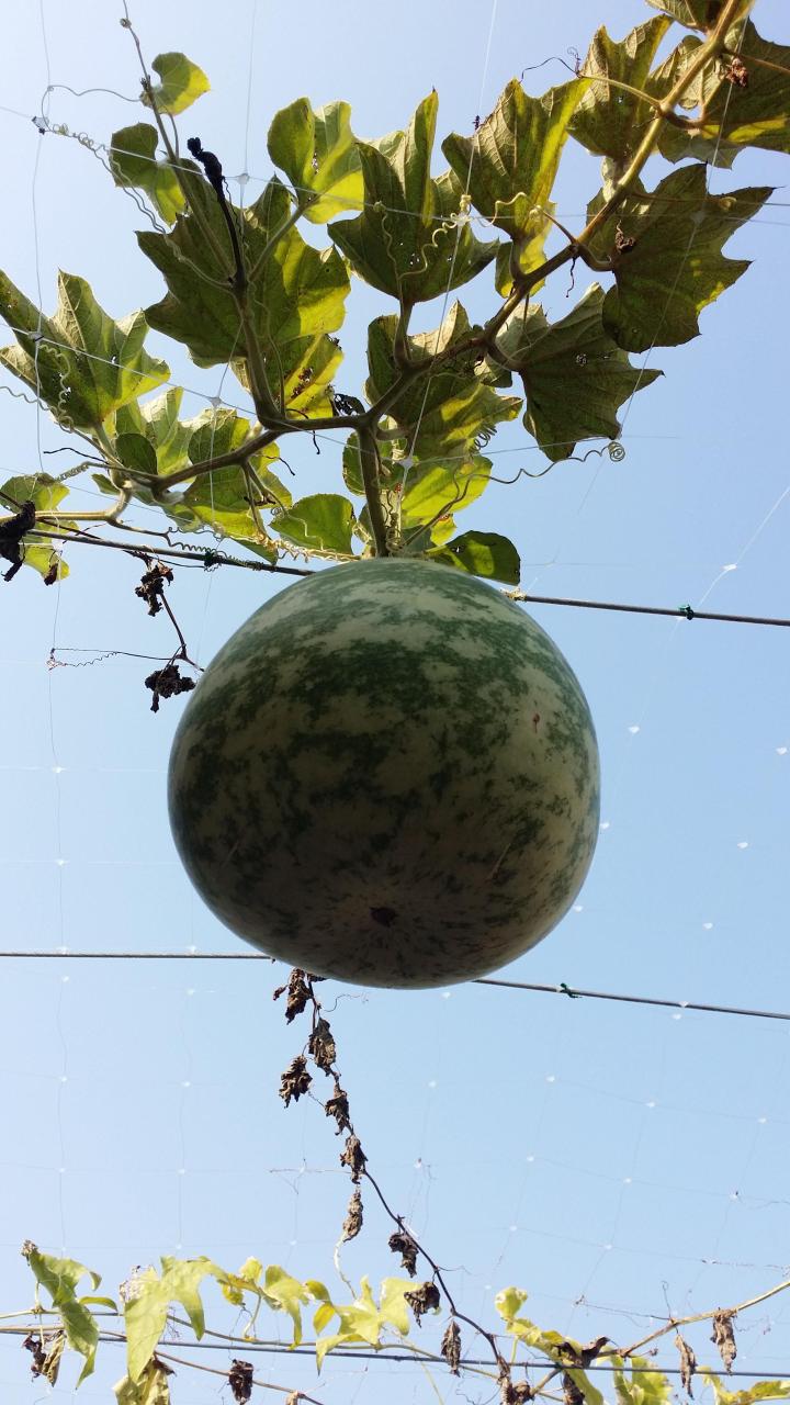 농업기술 더하기 나누기