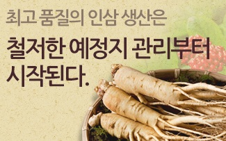 최고 품질의 인삼 생산은 철저한 예정지 관리부터 시작된다.