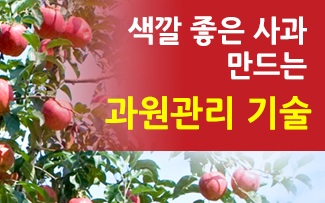 색깔 좋은 사과 만드는 과원관리 기술