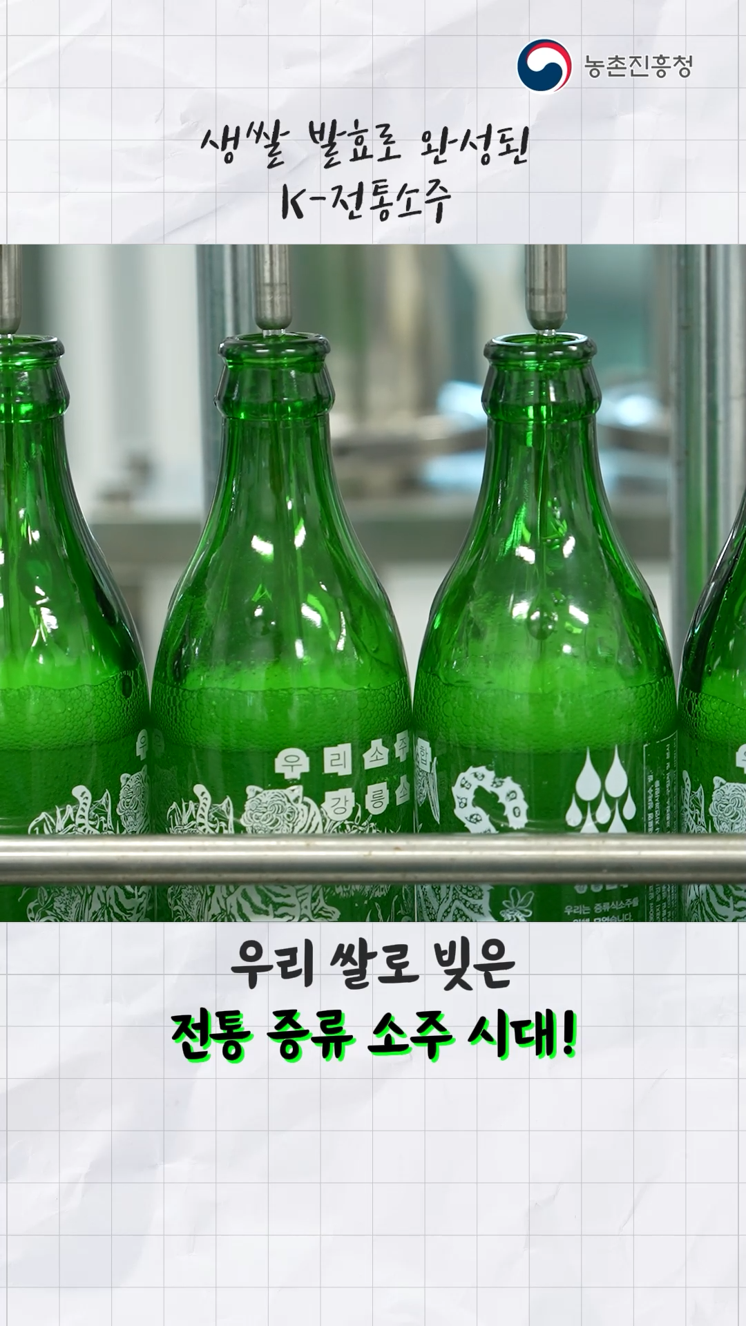 효모 생쌀발효기술을 활용 고품질 증류즈 제조과정_쇼츠 A