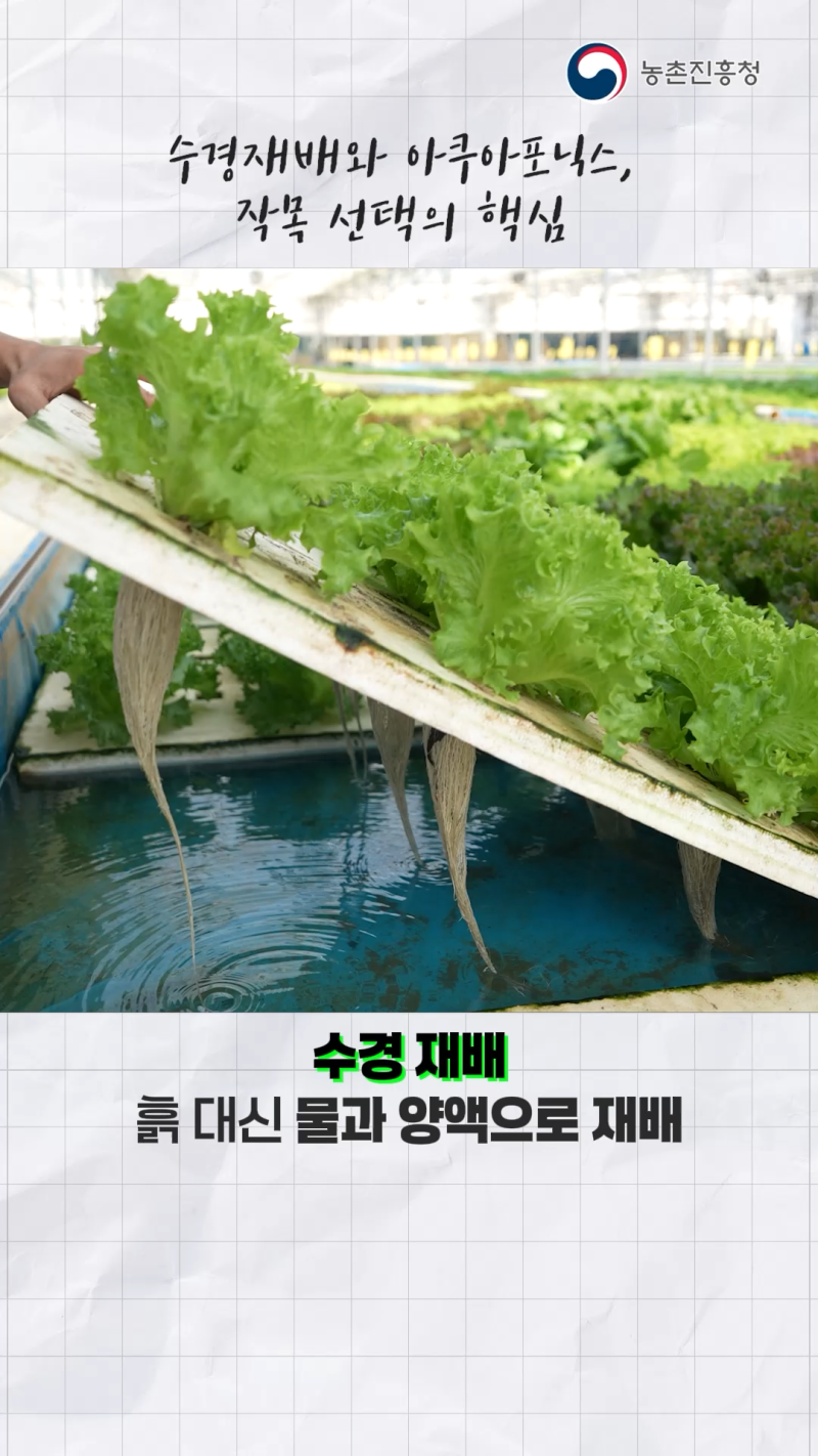 스마트팜 시설 및 작목 선택 방법_쇼츠 B