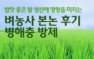 밥맛 좋은 쌀 생산에 영향을 미치는 벼농사 본논 후기 병해충 방제