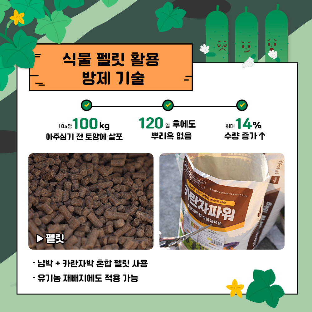 식물 펠릿 활용 방제기술 : 10a당 100kg 아주심기 전 토양에 살포, 120일 후에도 뿌리혹 없음, 최대 14% 수량 증가 - 님박+카란자박 혼박 펠릿 사용,  - 유기농 재배지에도 적용가능