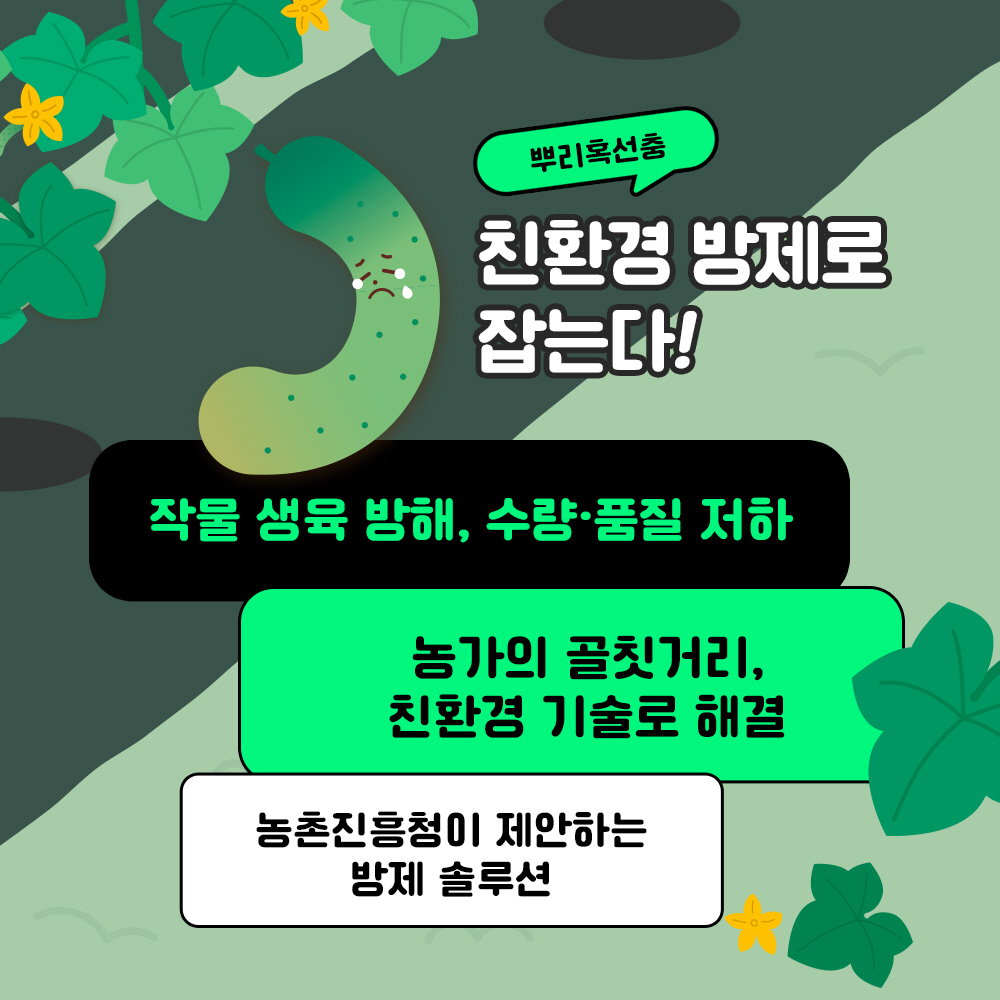 뿌리 혹선충 친환경 방제로 잡는다! 작물 생육 방해, 수량. 품질 저하, 농가의 골칫거리, 친환경 기술로 해결 농촌진흥청이 제안하는 방제솔루션