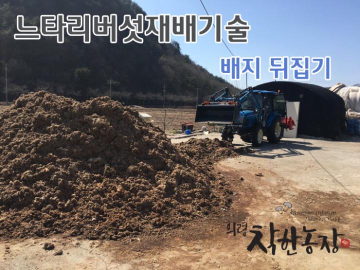 느타리버섯 재배 방법 제2탄 배지 뒤집기편