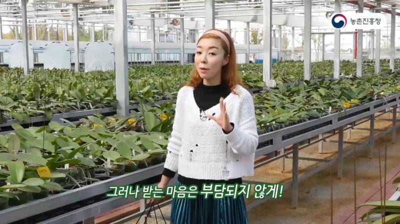1_소형 상품화 적용 품종 소개