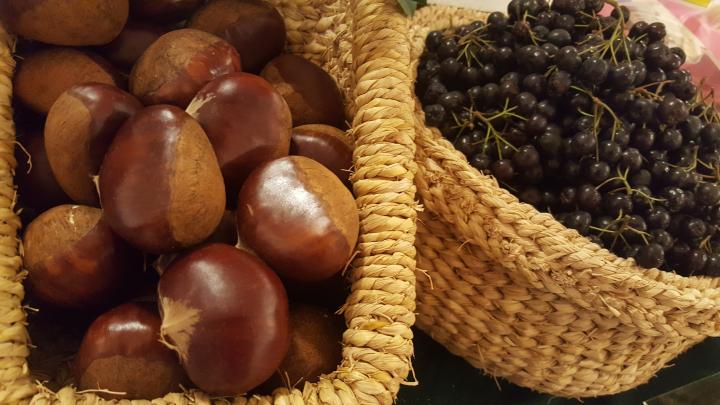 소목태의 효능과 고르는 법, 먹는 법에 대해서 알아보겠습니다. 6